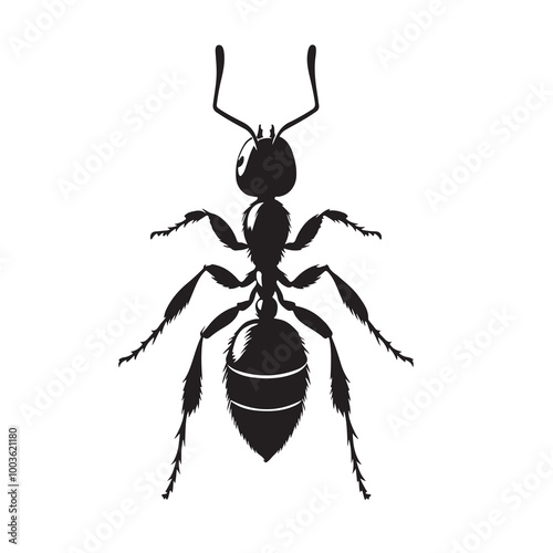 Ant silhouette vector image