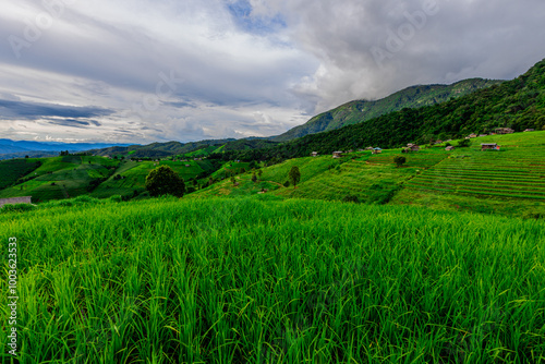 Natural background on the mountain with green rice terraces. Pa Bong Piang is one of the beautiful viewpoints in Chiang Mai, Thailand, overlooking the surrounding mountains. It is always popular.