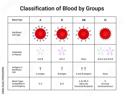 Table of Blood Classification by Group