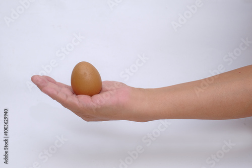 Isolated shot of a hand holding a chicken egg photo