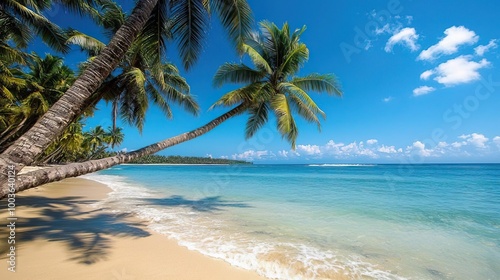 Stunning tropical beach with palm trees, clear blue sky, and serene ocean waves inviting relaxation and tranquility.