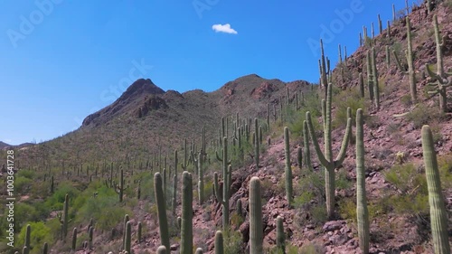 Aerial Odyssey: Scorching Arizona Desert Landscape, Majestic Saguaros, and Endless Rocky Terrain Unveiled in Stunning Drone Footage Under Blazing Desert Skies. photo