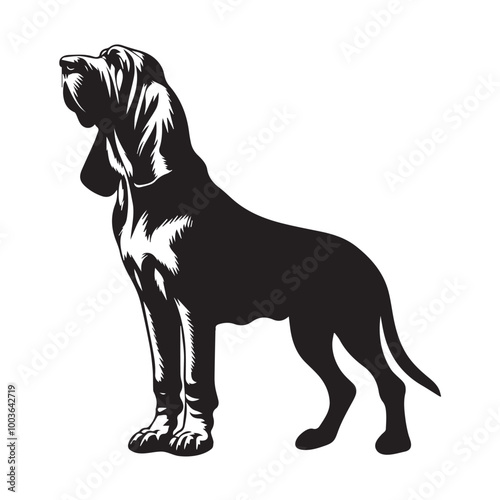 Bloodhound Dog Standing Vector illustration black and white