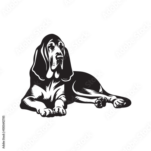 Bloodhound Dog Sitting Vector illustration black and white
