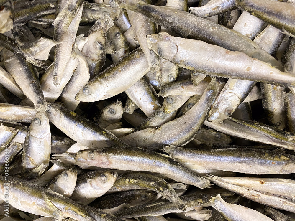 Obraz premium Lots of freshly frozen sprats top view.