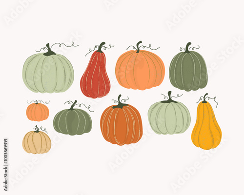 Pumpkin set of isolates on white background. Design elements for holiday cards, packaging, banners, for printing on fabric. Juicy fruits and plants. Drawn with texture. Vector illustration, hand drawn