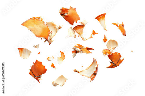 Broken crab shell pieces scattered ,Isolated on transparent background photo