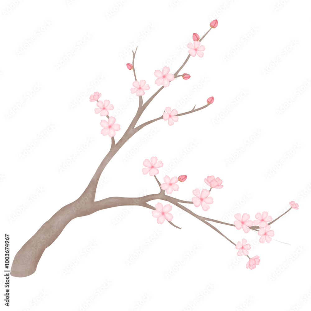 Sakura branch Sakura branch