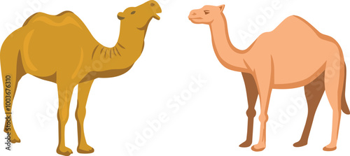 Colorful Arabian Camel Vector Illustration isolated on White Background. 