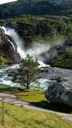 Kinsarvik, Hordaland, Norway. Norwegian Landscape With Mountains Cotton Grass, Cotton-grass Or Cottonsedge Eriophorum And Waterfall Nykkjesoyfossen On Background. Hardangervidda Mountain Plateau photo