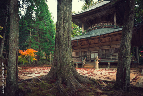 wooden pagoda with three trees in foreground photo