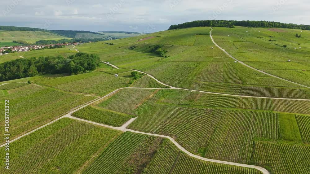 Vineyards fields in Champagne France Chatillon Sur Marne Aerial view Vineyards fields in Champagne France Chatillon Sur Marne Aerial view