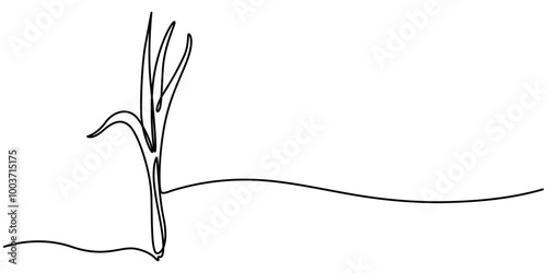 Continuous one line drawing lemon grass. Vegetable concept. Single line draw design vector graphic illustration, One continuous line drawing of whole and sliced healthy organic lemongrass for farm