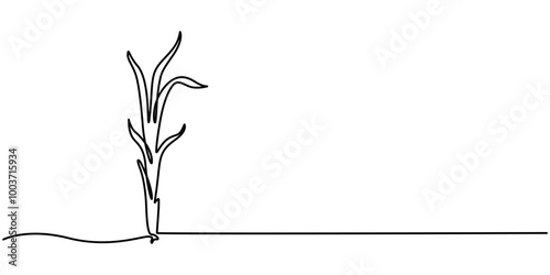 Continuous one line drawing lemon grass. Vegetable concept. Single line draw design vector graphic illustration, One continuous line drawing of whole and sliced healthy organic lemongrass for farm