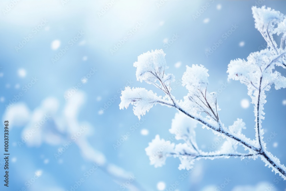 Photo of a branch covered with snow and frost against a blue sky with soft falling snowflakes. Photo of a branch covered with snow and frost against a blue sky with soft falling snowflakes.