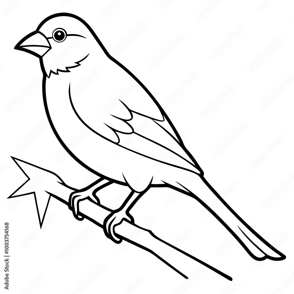 Detailed Vector Illustration of a Finch Showcasing Vibrant Feathers and Expressive Eyes

