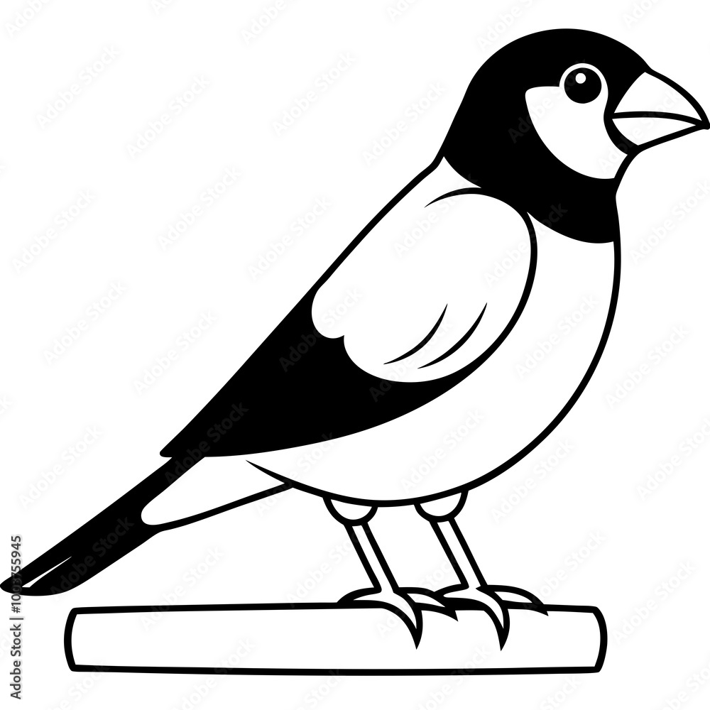 Obraz premium Stunning Vector Illustration of a Java Sparrow Perched on a Branch 