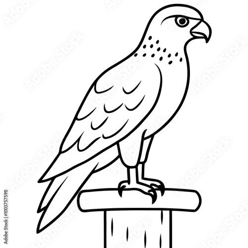 Majestic RedTailed Hawk Vector Illustration Showcasing Its Power and Grace in Nature 