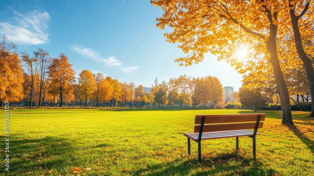 Lonely Bench in autumn Park with city view red and yellow maple trees and blue sky,Autumn forest path,Lawn in autumn city park in Sunny day,Trees with yellow leaves in park,Natural Wallpaper. Lonely Bench in autumn Park with city view red and yellow maple trees and blue sky,Autumn forest path,Lawn in autumn city park in Sunny day,Trees with yellow leaves in park,Natural Wallpaper.