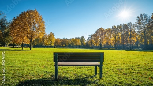 Lonely Bench in autumn Park with city view red and yellow maple trees and blue sky,Autumn forest path,Lawn in autumn city park in Sunny day,Trees with yellow leaves in park,Natural Wallpaper.