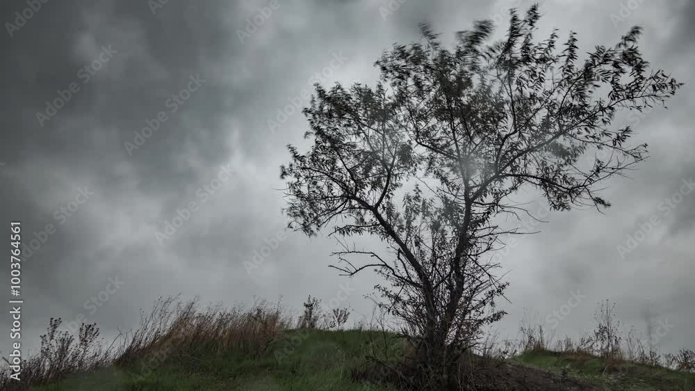 A timelapse of a dramatic landscape, a tree against a dark stormy sky, rain and wind, extreme weather
A timelapse of a dramatic landscape, a tree against a dark stormy sky, rain and wind, extreme weather
