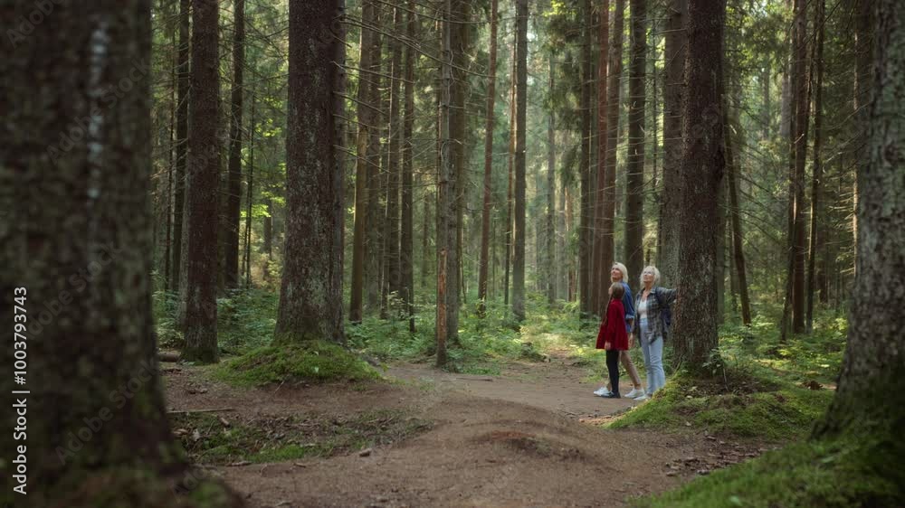 Grandmother, mother and daughter walking together holding hands on pathway in forest. Senior and adult woman, little girl enjoy strolling in park, talking and smiling. Grandmother, mother and daughter walking together holding hands on pathway in forest. Senior and adult woman, little girl enjoy strolling in park, talking and smiling.