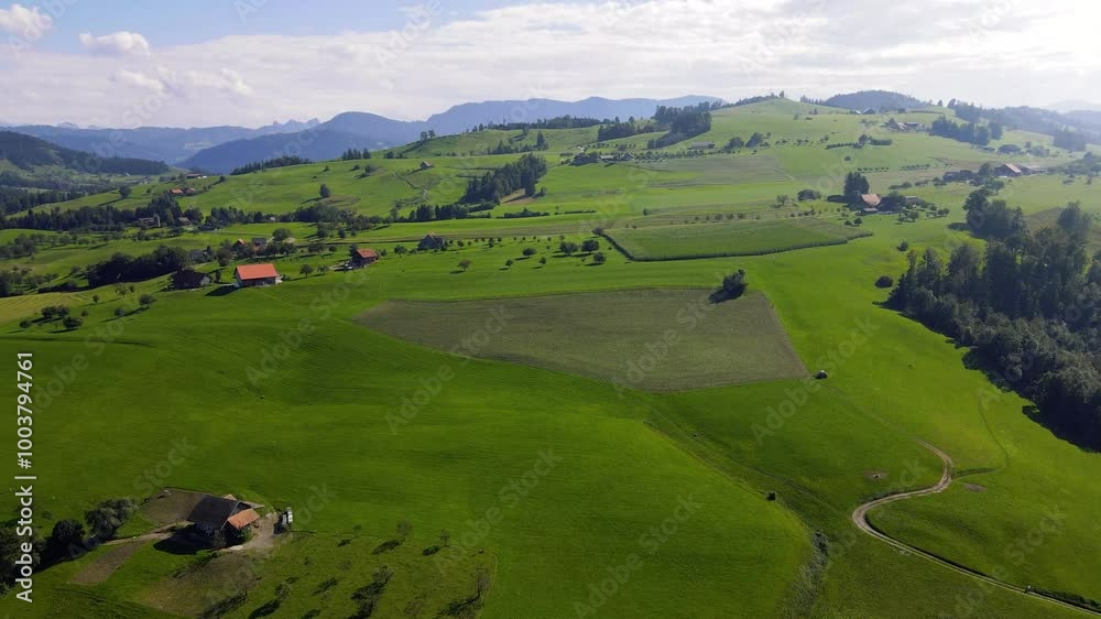 An aerial panoramic view of the vast Swiss countryside showcasing lush green scenery with cattle grazing and majestic peaks in the distance in Switzerland An aerial panoramic view of the vast Swiss countryside showcasing lush green scenery with cattle grazing and majestic peaks in the distance in Switzerland