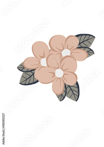 flower on white background