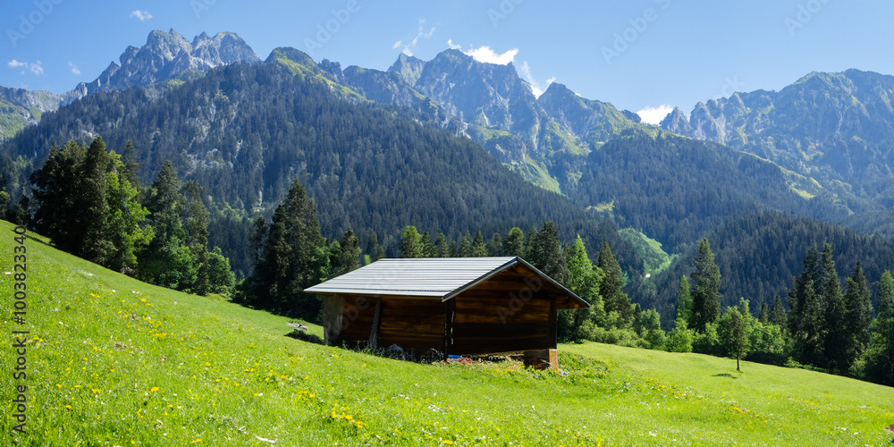 Obraz premium landscape with house