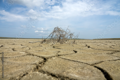 Cuadro en lienzo Image of heat and drought