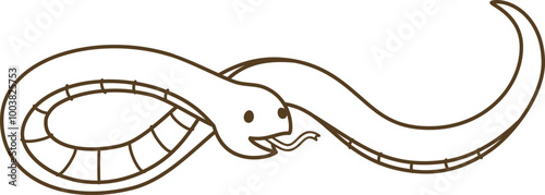 ヘビ　透過