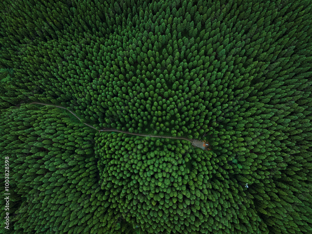 Aerial view of beautiful forest mountain landscape Aerial view of beautiful forest mountain landscape