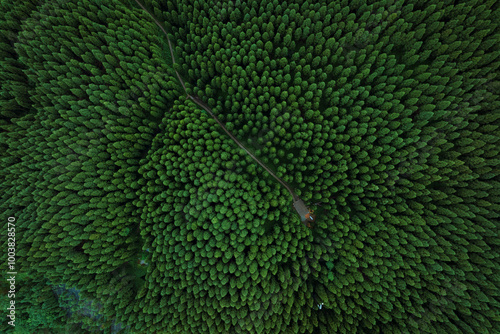 Photography Aerial view of beautiful forest mountain landscape