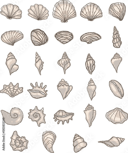 Abstract seashell doodle hand drawing illustration for decoration on beach life and marine life concept.