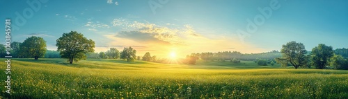 Beautiful Sunrise Over a Lush Green Meadow with Wildflowers and Trees Under a Clear Blue Sky