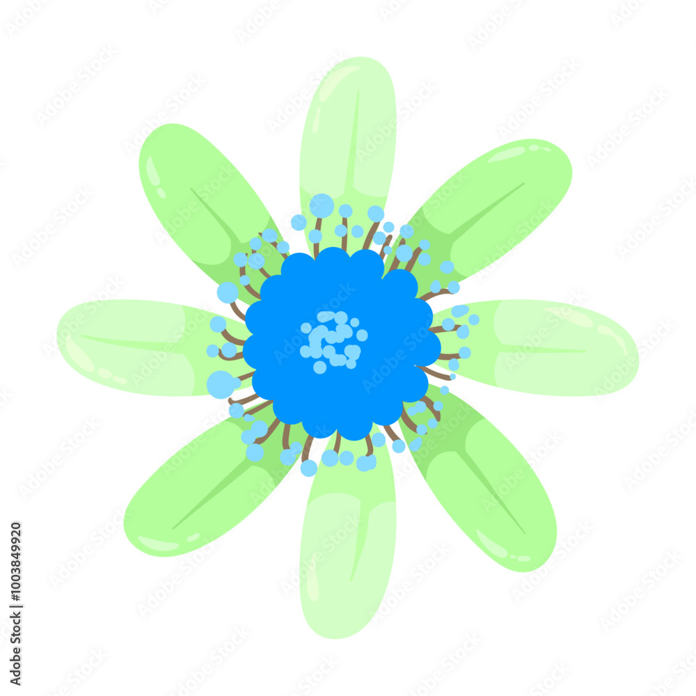 hand drawn colorful flower illustration on a white background hand drawn colorful flower illustration on a white background