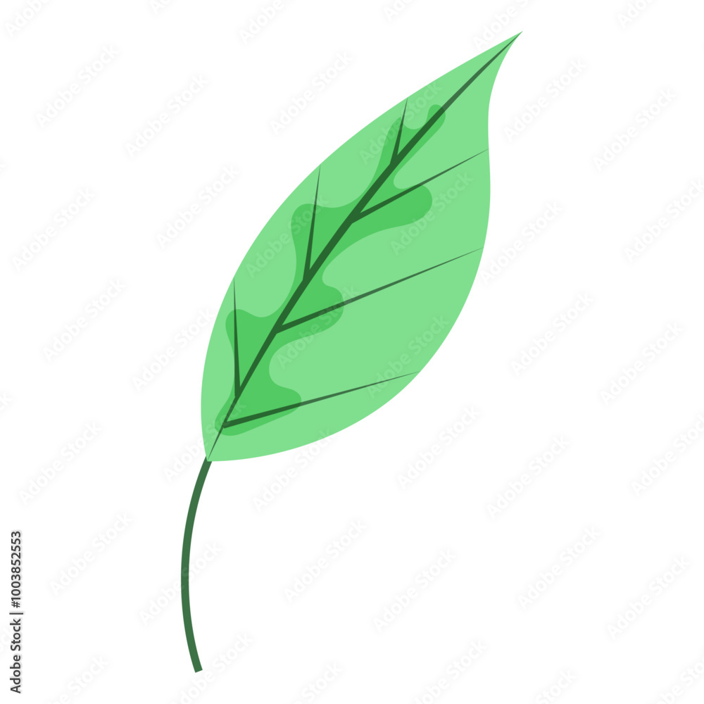 Hand drawn spring flower isolated illustration Hand drawn spring flower isolated illustration
