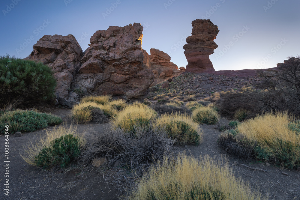 La Ruleta Vista Point with a spectacular views of Teide volcano. This is easy access place to see this mountain.