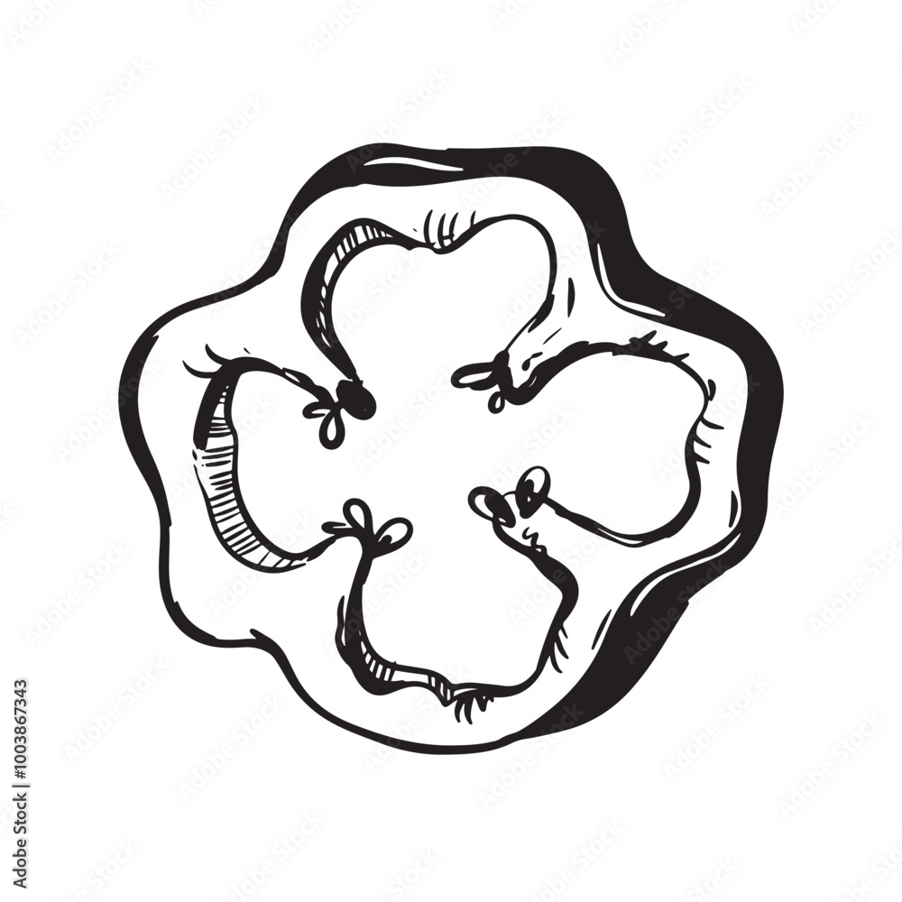Vector illustration of a piece of ripe paprika. Black ink drawing of a slice of sweet pepper. Engraving style sketch on a white background. Culinary Indian spice. Vector illustration of a piece of ripe paprika. Black ink drawing of a slice of sweet pepper. Engraving style sketch on a white background. Culinary Indian spice.