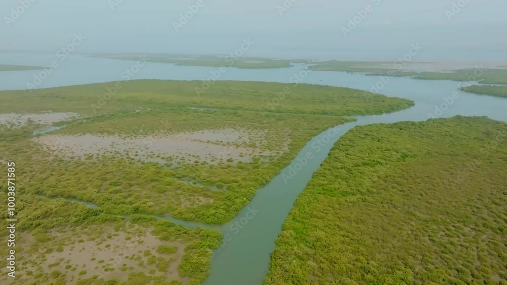 Aerial shot of lush mangrove forest along the Indus River in Karachi, Pakistan, showcasing vibrant greenery and natural beauty in an aquatic landscape.Orbit Motion Aerial shot of lush mangrove forest along the Indus River in Karachi, Pakistan, showcasing vibrant greenery and natural beauty in an aquatic landscape.Orbit Motion