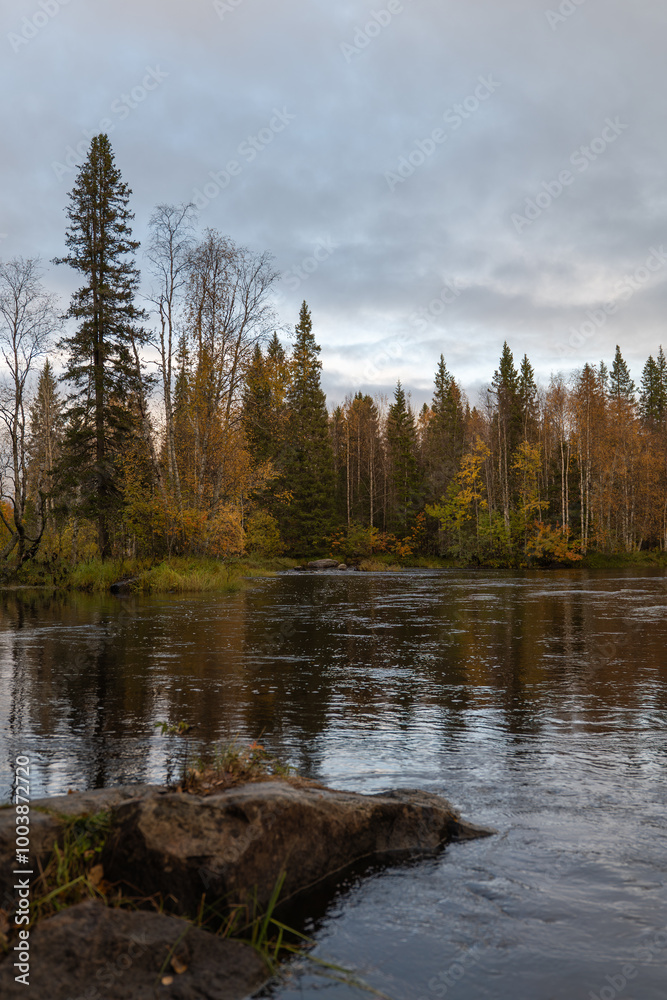 Obraz premium Rushing River Through Autumn Foliage in Vikäköngäs, Rovaniemi – A Stunning Lapland Waterfall Scene