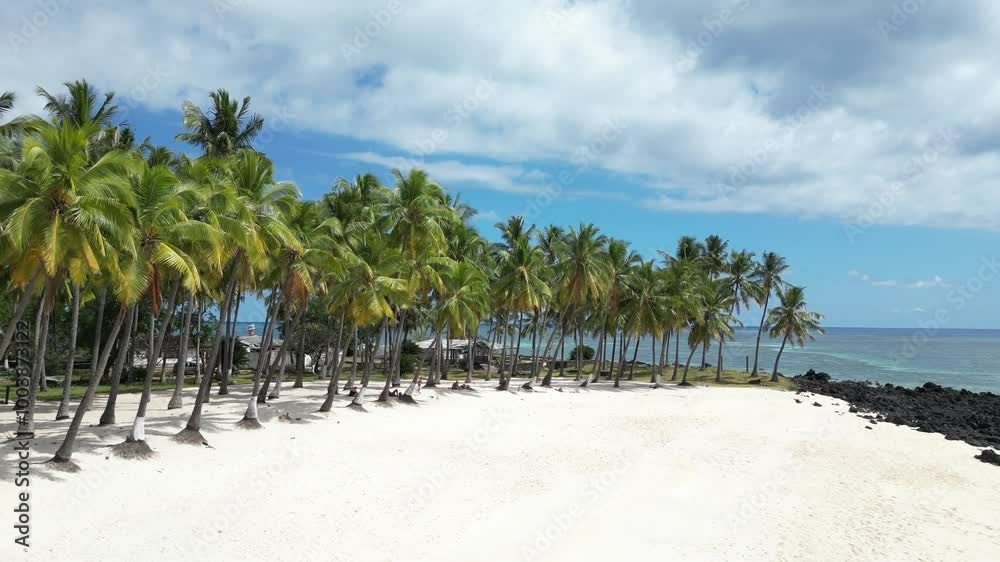 Palm trees line a white sand beach with clear skies and ocean view in tropical paradise Palm trees line a white sand beach with clear skies and ocean view in tropical paradise
