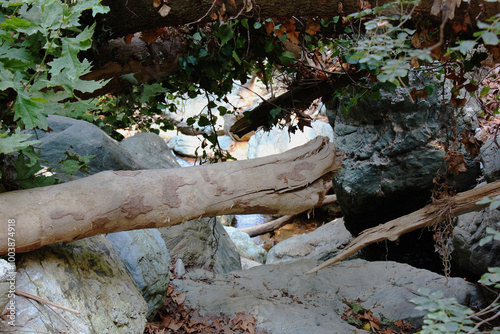 The path of the centaurs (after Cyclone Daniel) Portaria Pelion Greece photo