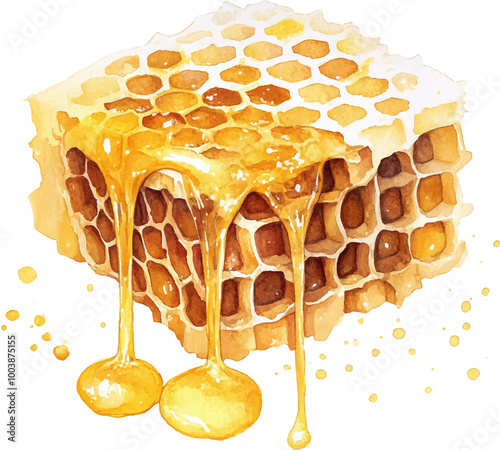 watercolor clipart white background Very detailed, very realistic, the honeycomb drips deliciously.