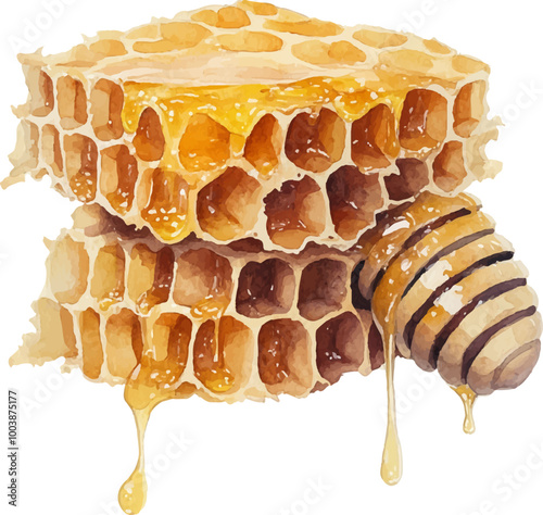 watercolor clipart white background Very detailed, very realistic, the honeycomb drips deliciously.