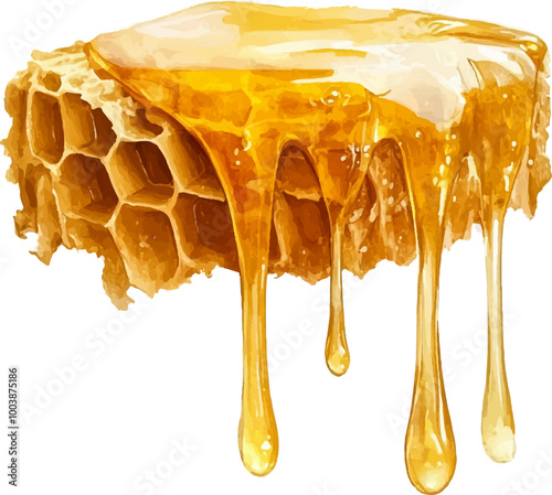 watercolor clipart white background Very detailed, very realistic, the honeycomb drips deliciously.