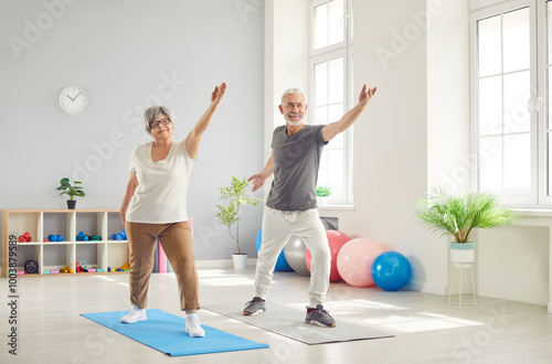 Εκτύπωση καμβά Senior people yoga class sport health care rehabilitation group on medical sessi
