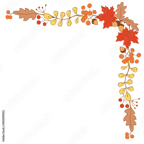 Natural design vector collection - corner element of colorful acorns, leaves and berries. Theme of happy fall, forest, thanksgiving