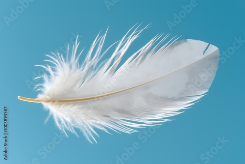 Delicate lucky white feather blue gradient background. Intricate details, fine filaments are highlighted, illustrating its fragile, lightweight nature. 