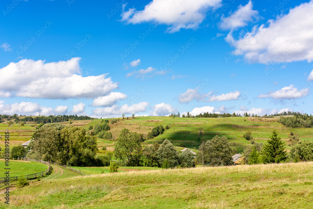 rural valley with village behind the field. early autumn green landscape. trees near the grassy pasture. arable on the distant hill. sunny day with fluffy clouds. rolling farmland scenery